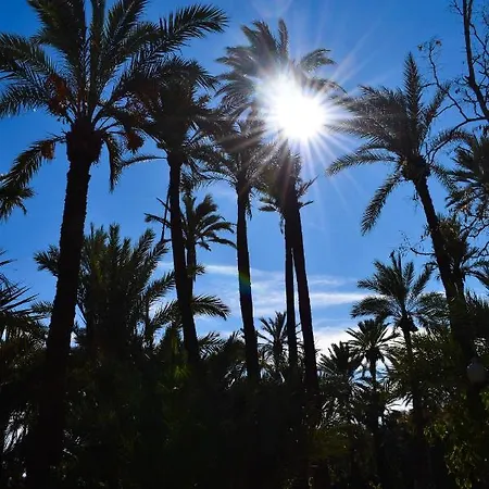 Rafaello ,,la Zona Cabo Roig, Area Cabo Roig