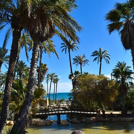 Rafaello ,,la Zona Cabo Roig, Area Cabo Roig