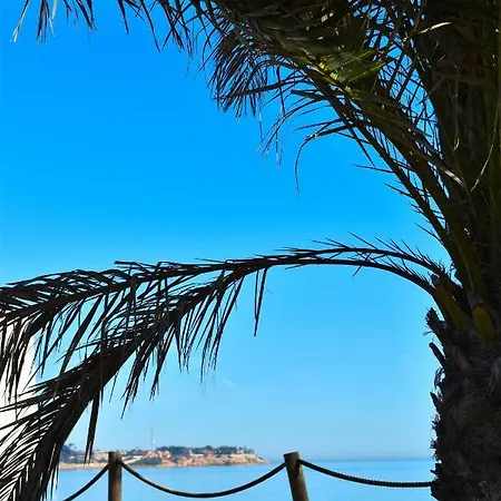 Rafaello ,,la Zona Cabo Roig, Area Cabo Roig